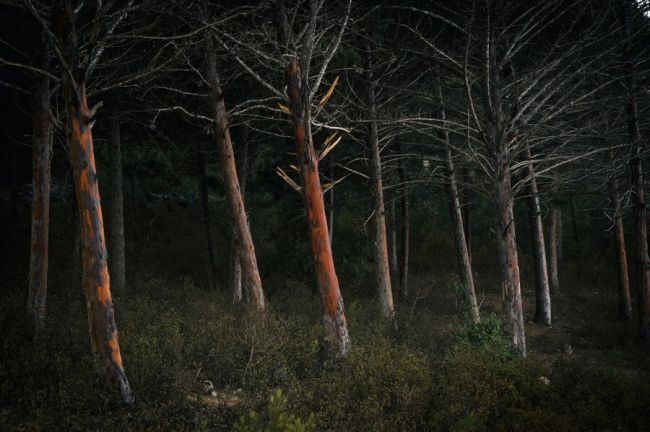 Су ск ивановской области фото